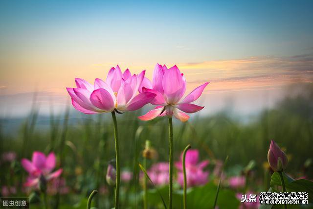 çæ´»å¦æ°´ï¼äººçä¼¼è¶ï¼å®ä½å¿åºé£æç¾é£æ¯ï¼å®éèè´è¿